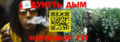прущие крисы Можга
