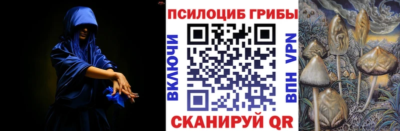 Галлюциногенные грибы Psilocybe  Уварово 