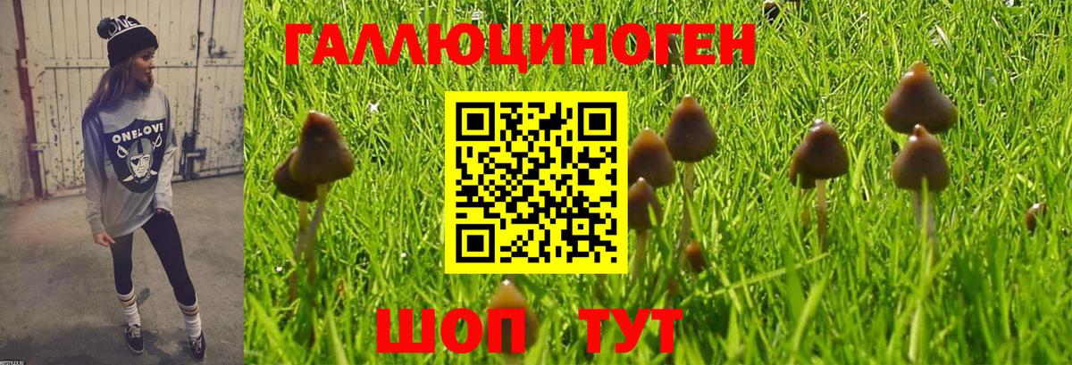 Псилоцибиновые грибы мухоморы  Псилоцибиновые грибы Psilocybine cubensis  Уварово  Вход с VPN 